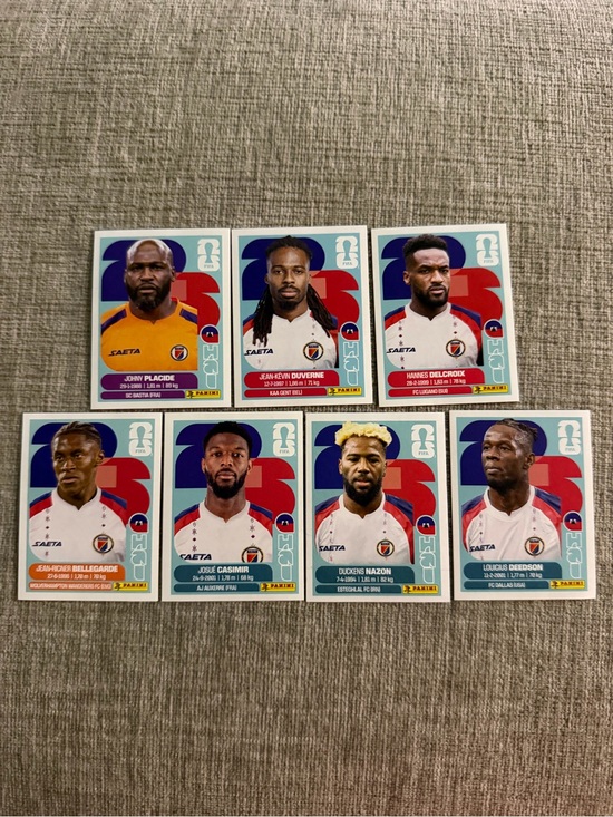 Fifa Other - Haiti FIFA Stickers